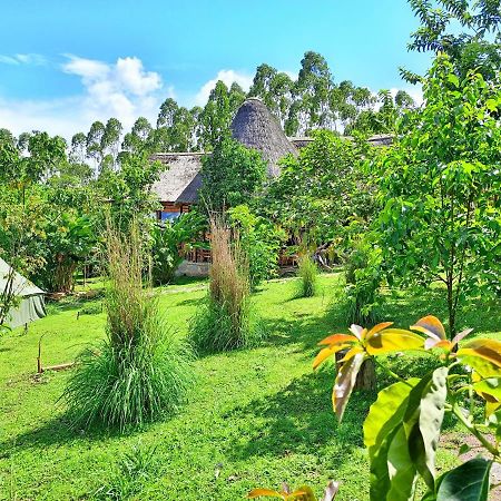 Chimpanzee Capital Safari Lodge Bigodi Extérieur photo