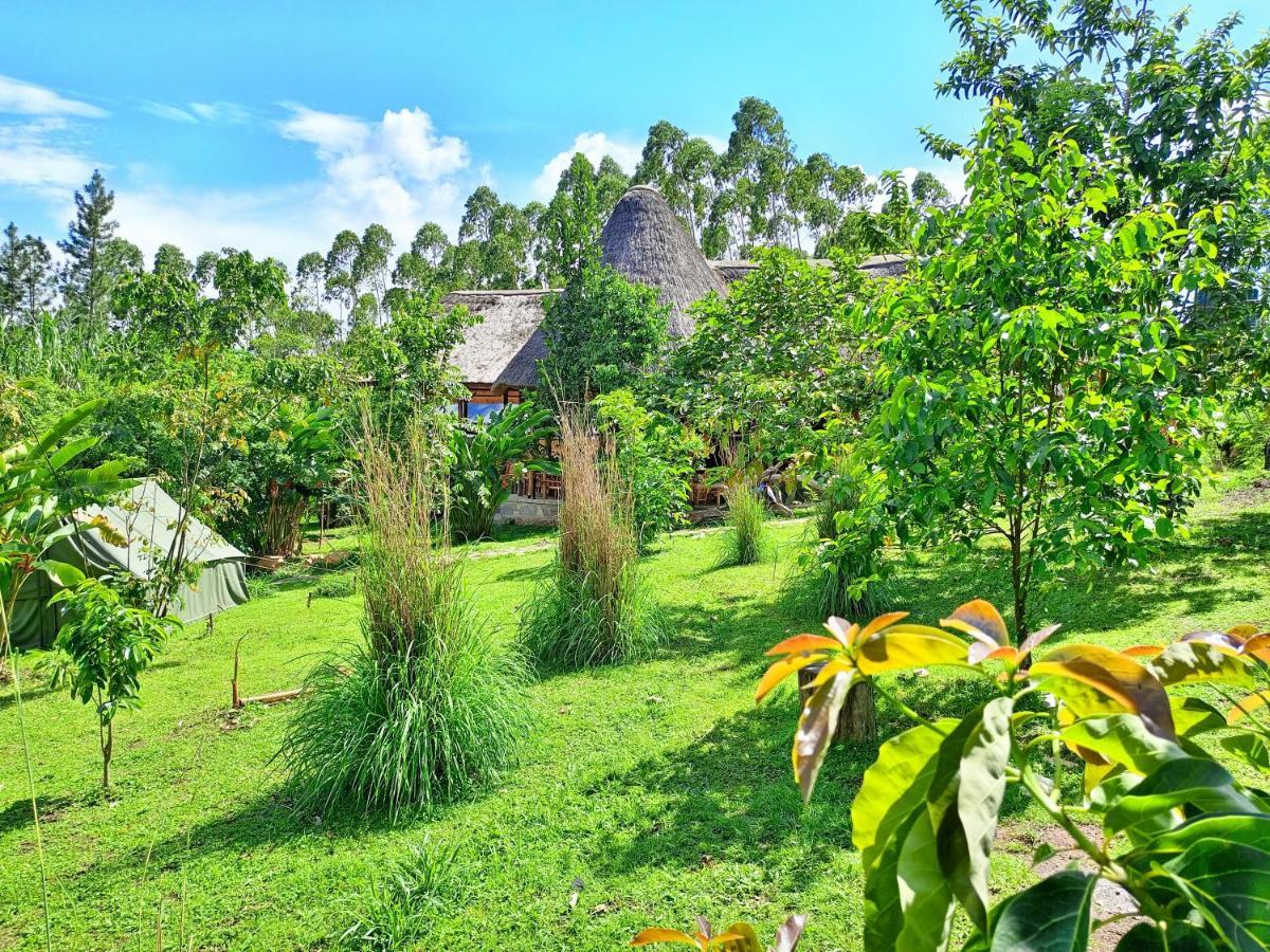 Chimpanzee Capital Safari Lodge Bigodi Extérieur photo