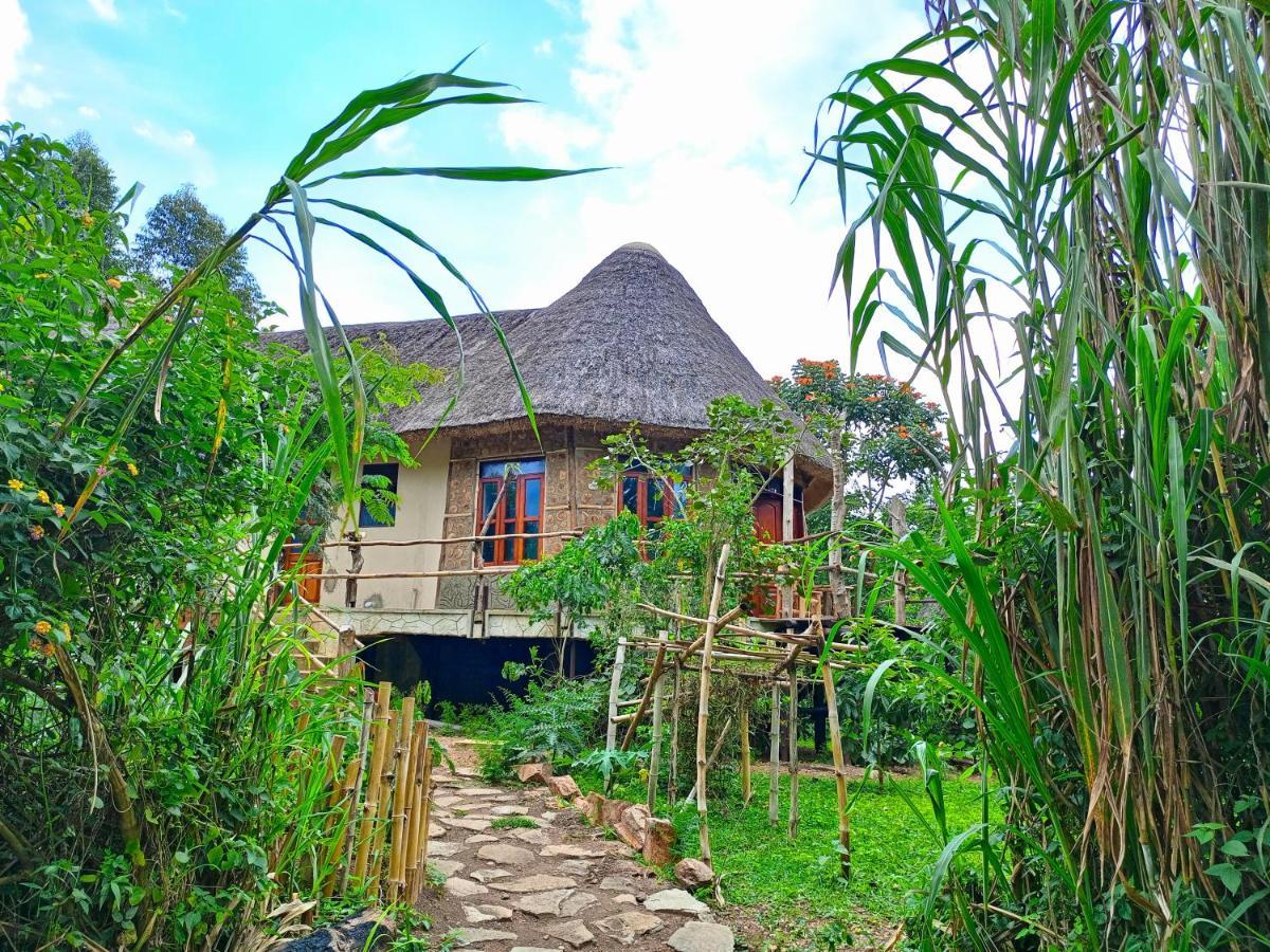Chimpanzee Capital Safari Lodge Bigodi Extérieur photo