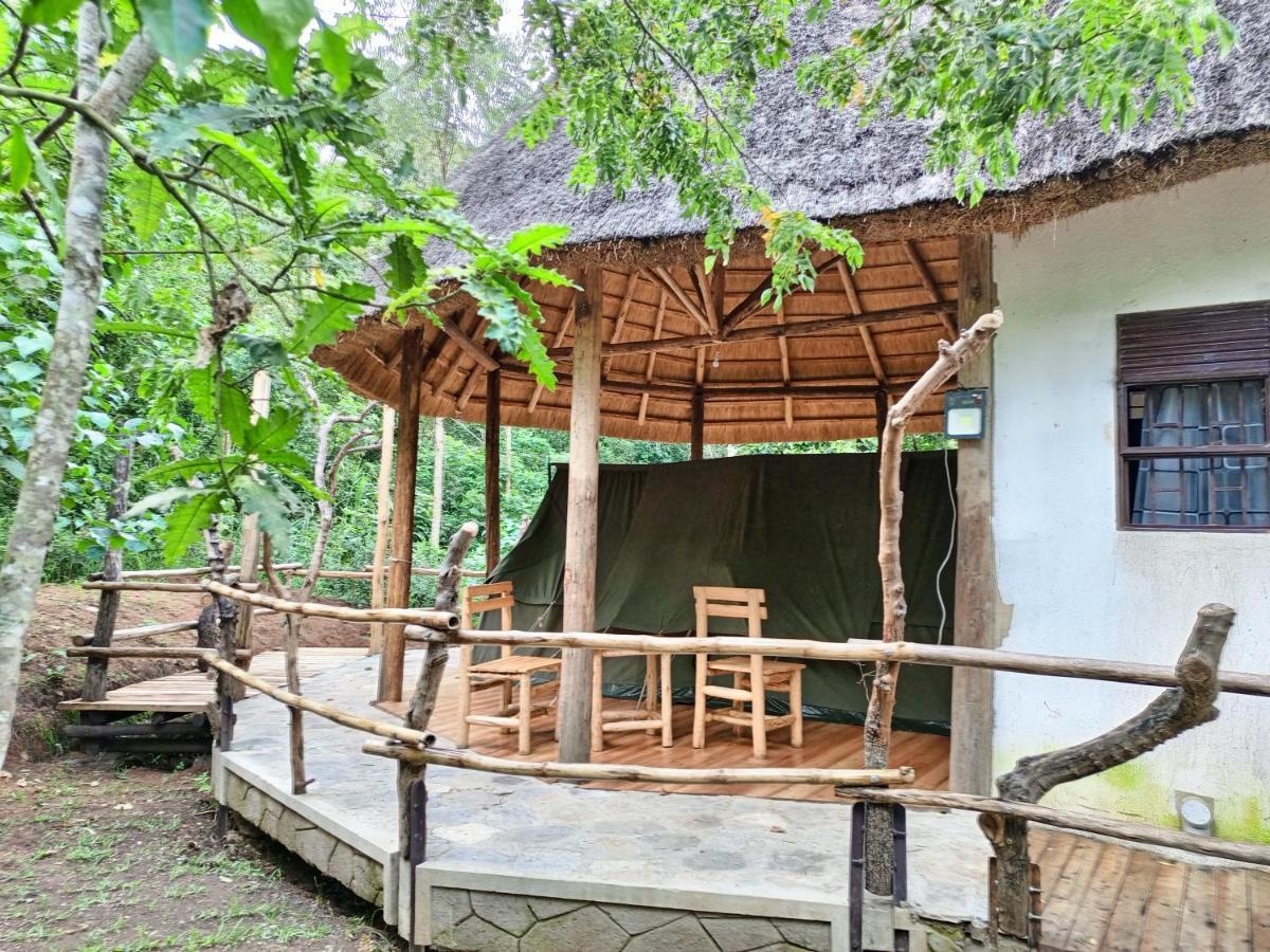 Chimpanzee Capital Safari Lodge Bigodi Extérieur photo