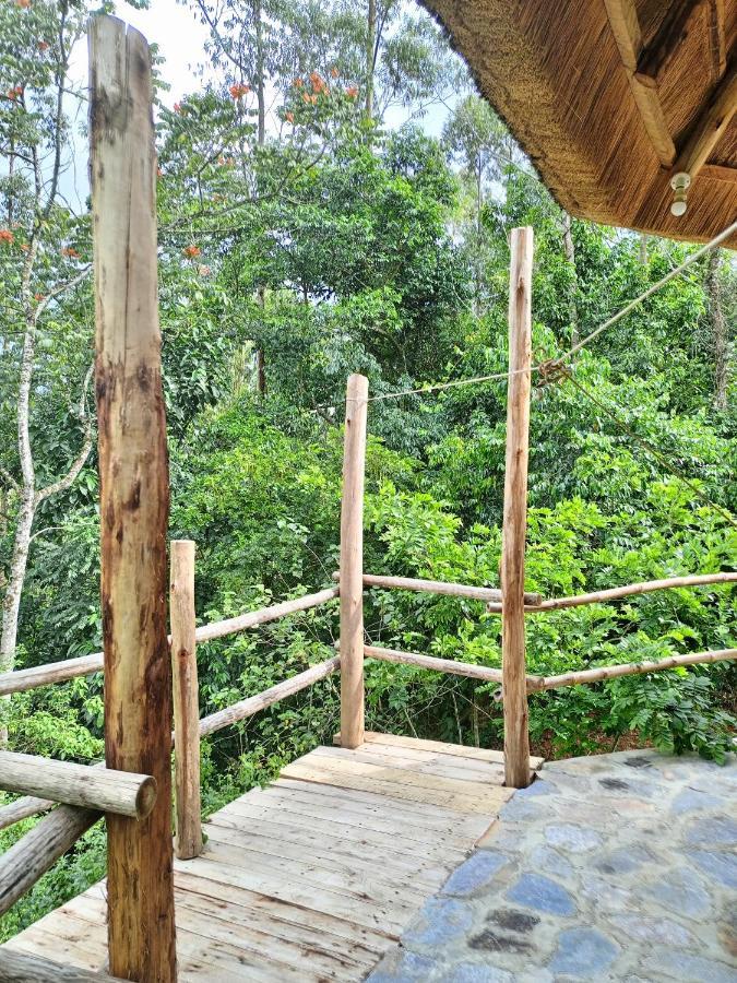 Chimpanzee Capital Safari Lodge Bigodi Extérieur photo