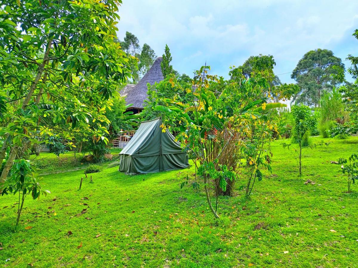 Chimpanzee Capital Safari Lodge Bigodi Extérieur photo