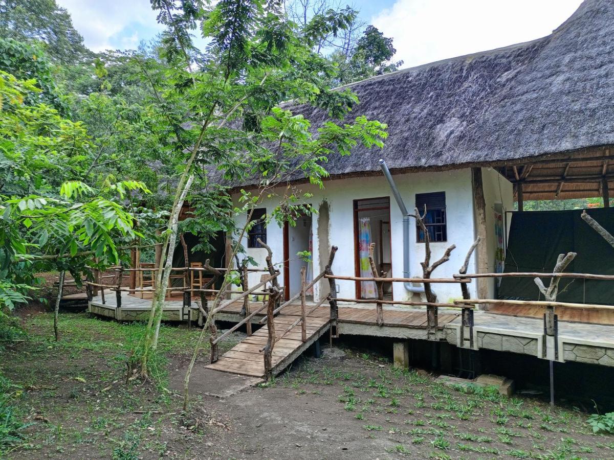 Chimpanzee Capital Safari Lodge Bigodi Extérieur photo