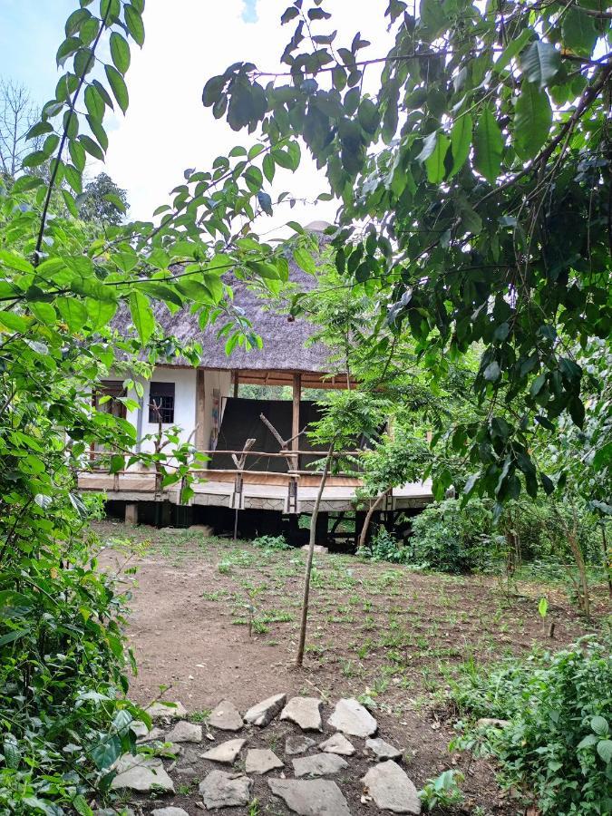 Chimpanzee Capital Safari Lodge Bigodi Extérieur photo
