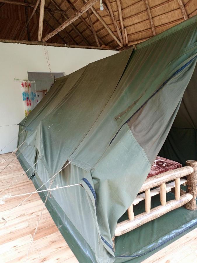 Chimpanzee Capital Safari Lodge Bigodi Extérieur photo